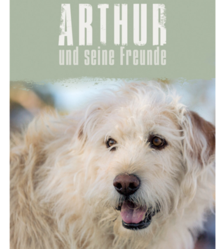 Pauli liest: „Arthur und seine Freunde“