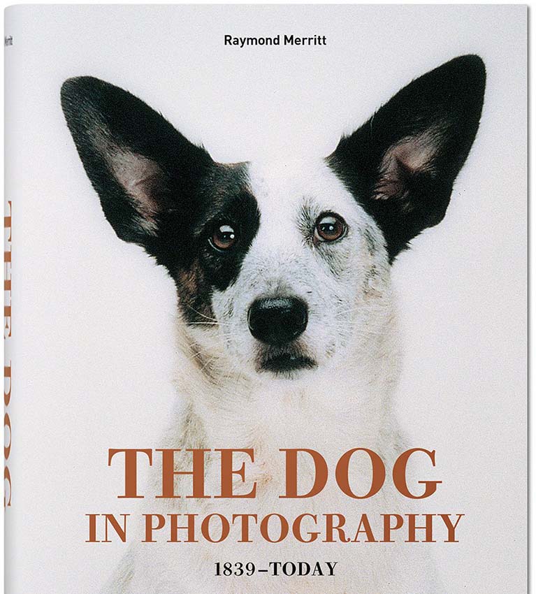 The Dog in Photography Cover