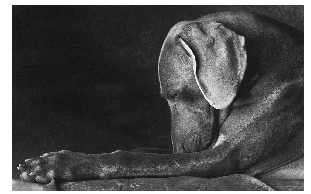 Harry Giglio, Pray for Peace, 1996, Courtesy of the artist © TASCHEN
