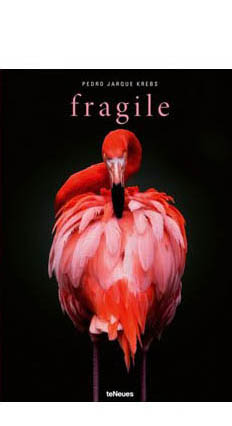 Pauli liest: Fragile