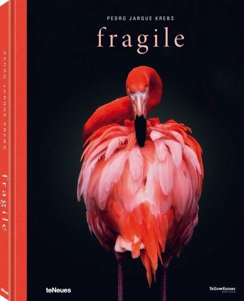 fragile